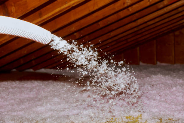 Best Best Insulation Companies  in Fowler, CO